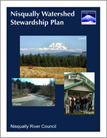 Nisqually Watershed Stewardship Plan