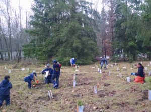 7 people, adults and children, plant trees in a clearing.