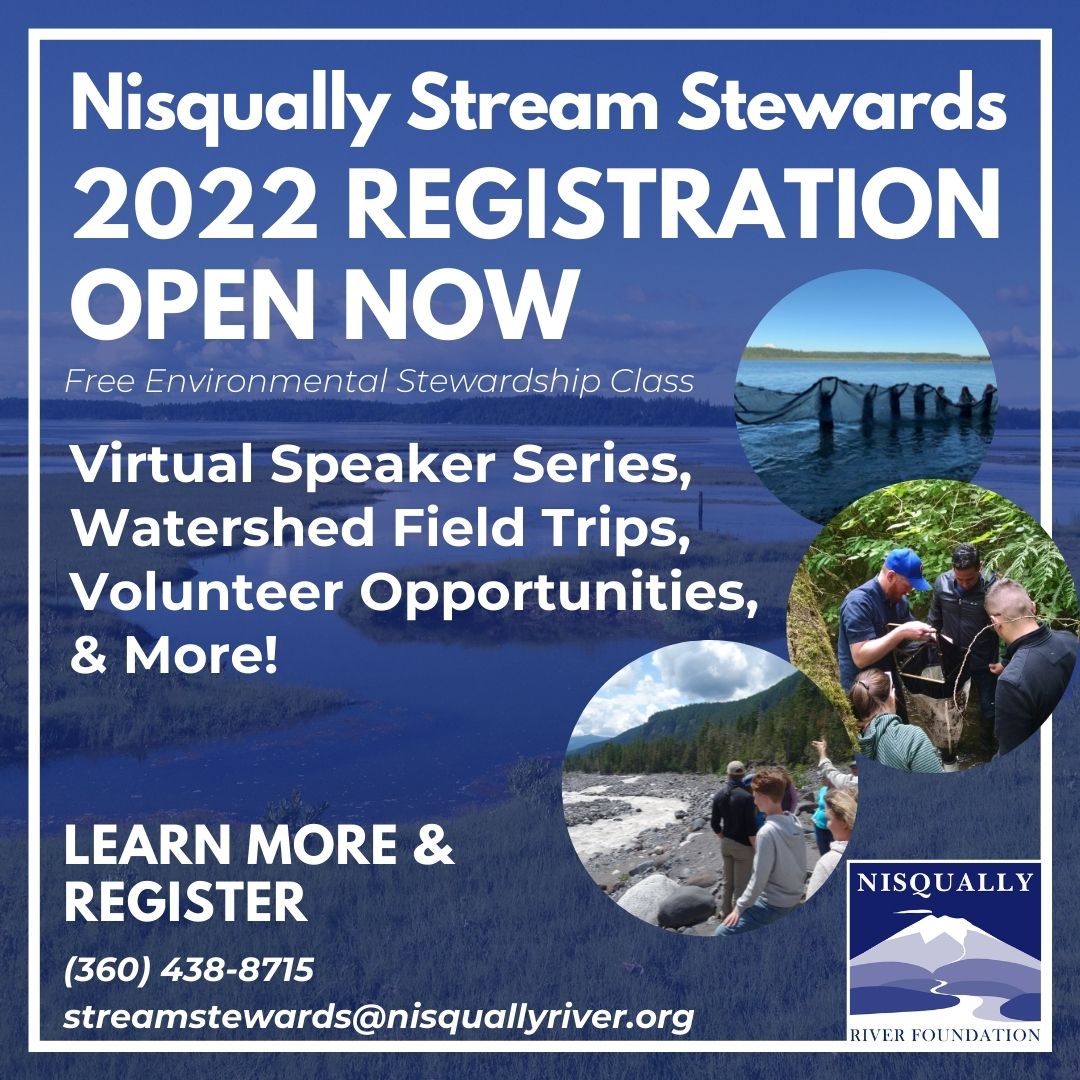 nisqually-stream-stewards-2022-registration-now-open-nisqually-river