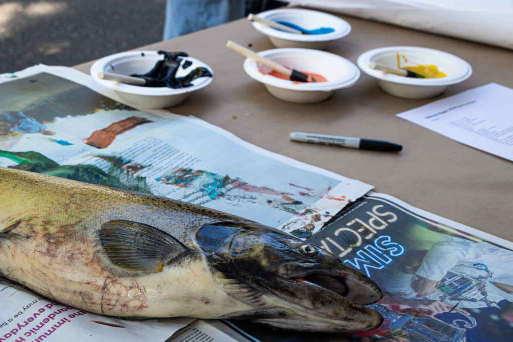 Nisqually Watershed Festival Nisqually River Council